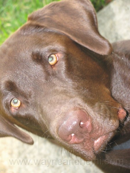 2010-06_17_0037 Portrait.jpg